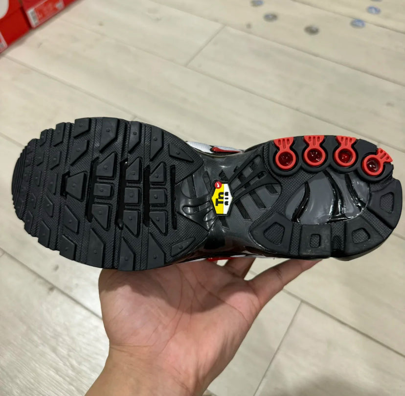TN Dracula