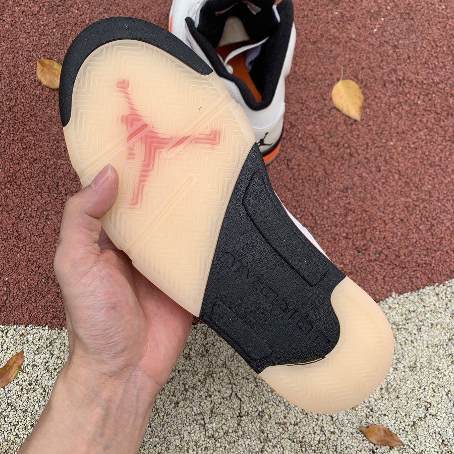 AJ 5 Shattered Backboard