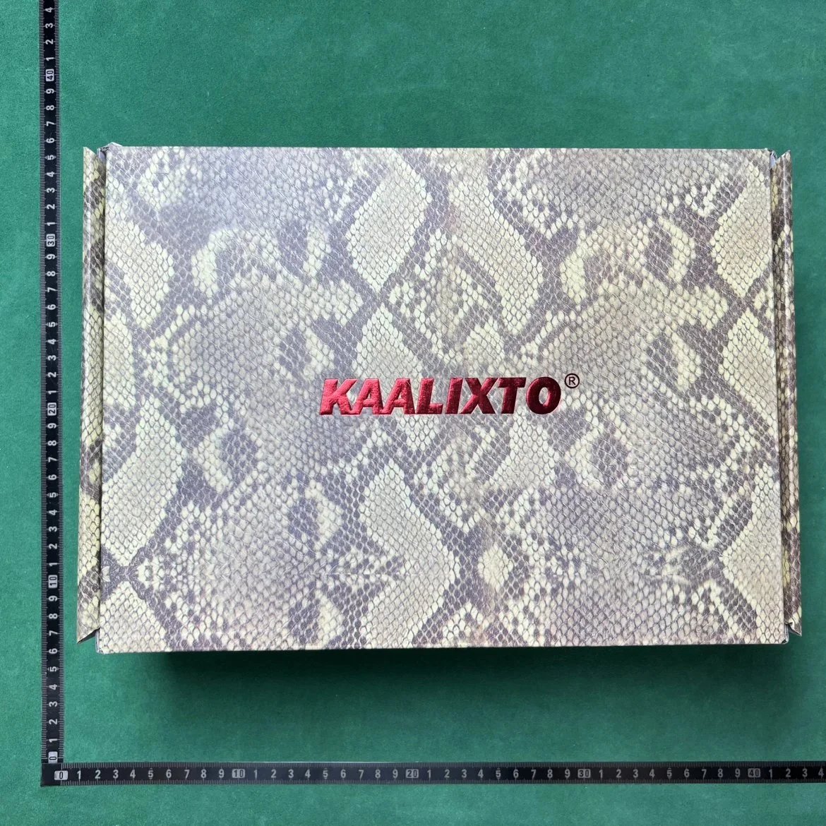 Kaalixto Snake