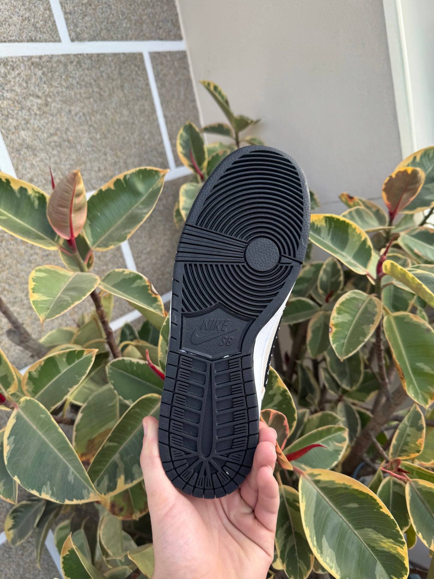 Low Albino