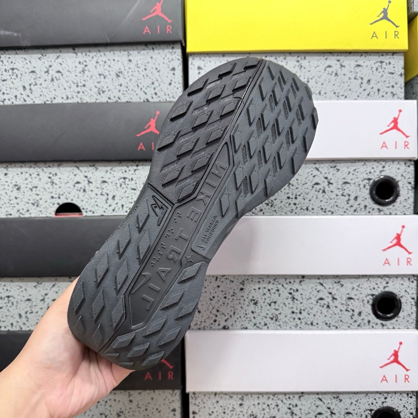 Pegasus Trail 5 Black