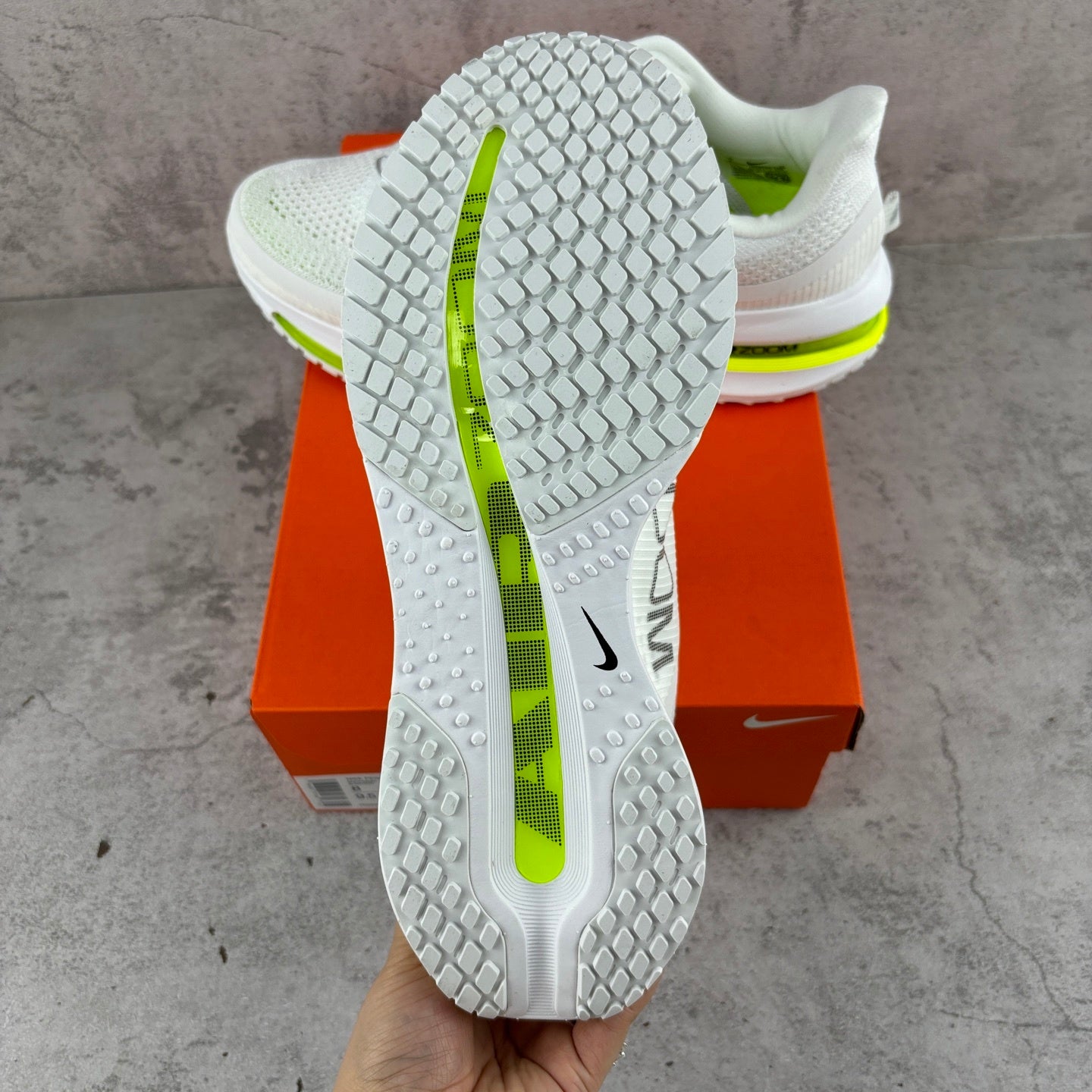 Pegasus Premium White