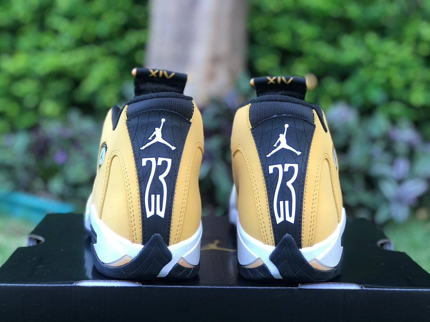 AJ14 Ginger
