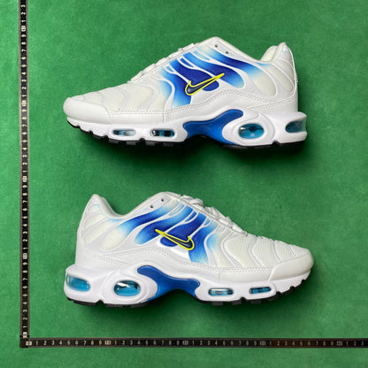 TN White University Blue Gold