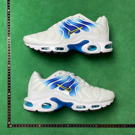 TN White University Blue Gold