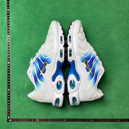 TN White University Blue Gold
