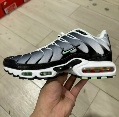 TN Black Mint Green