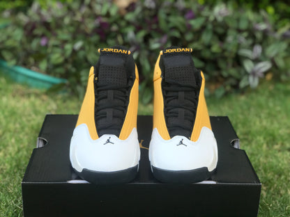AJ14 Ginger