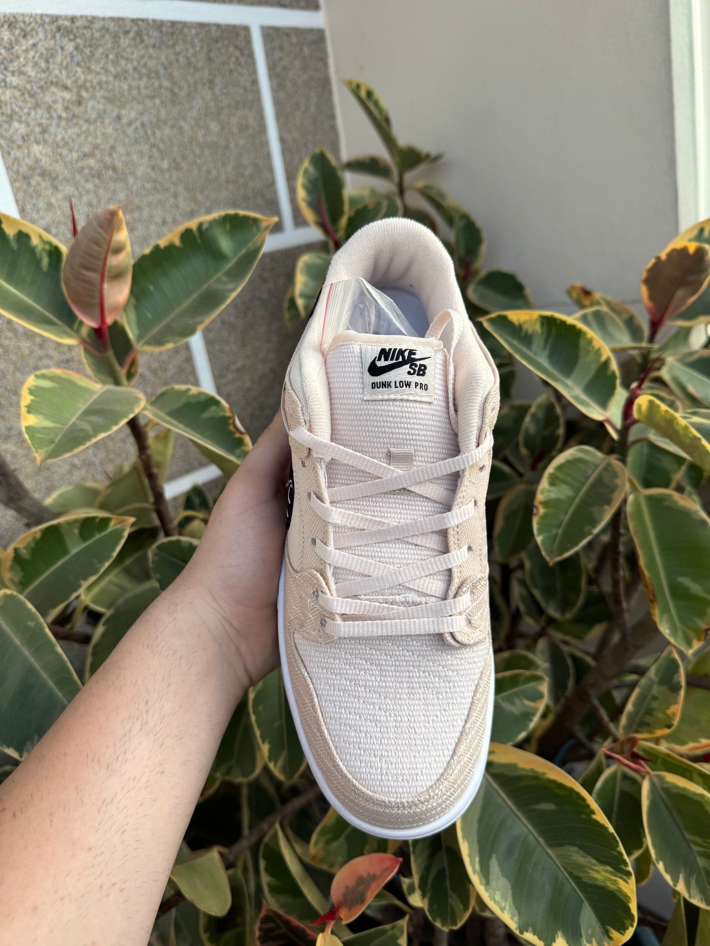 Low Albino