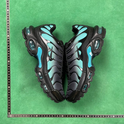 TN Black Dusty Cactus