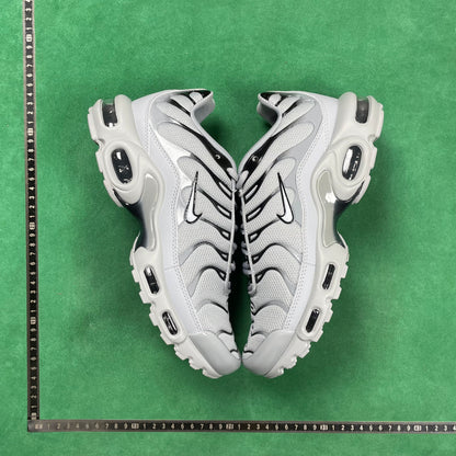 TN Gray