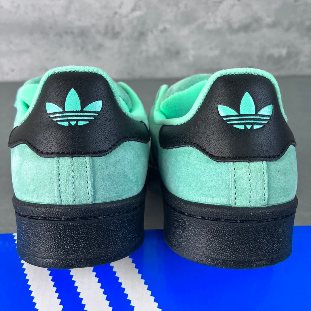 Campus Pulse Mint
