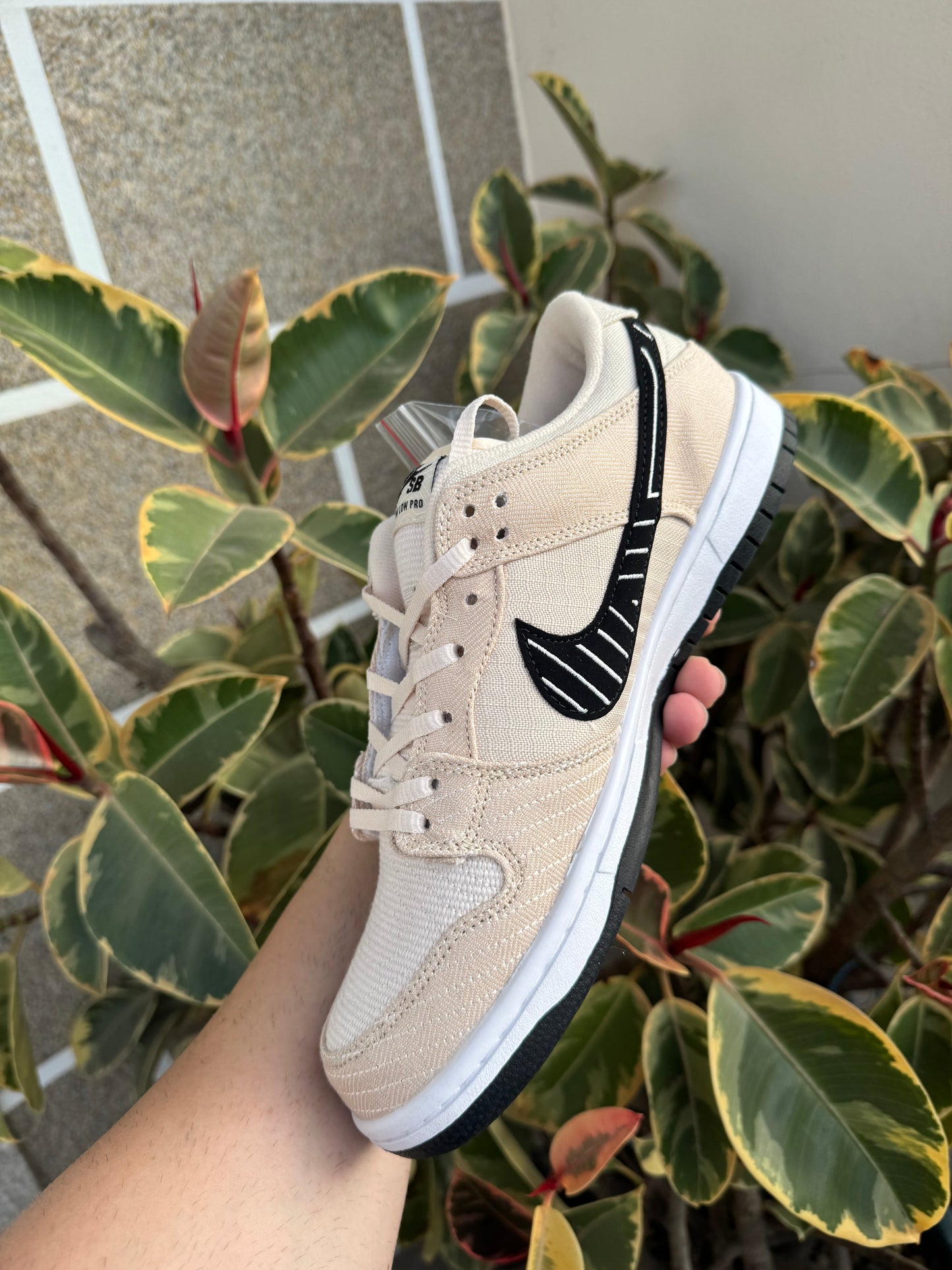 Low Albino