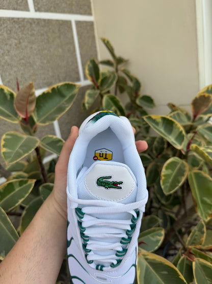 Tn Green and White