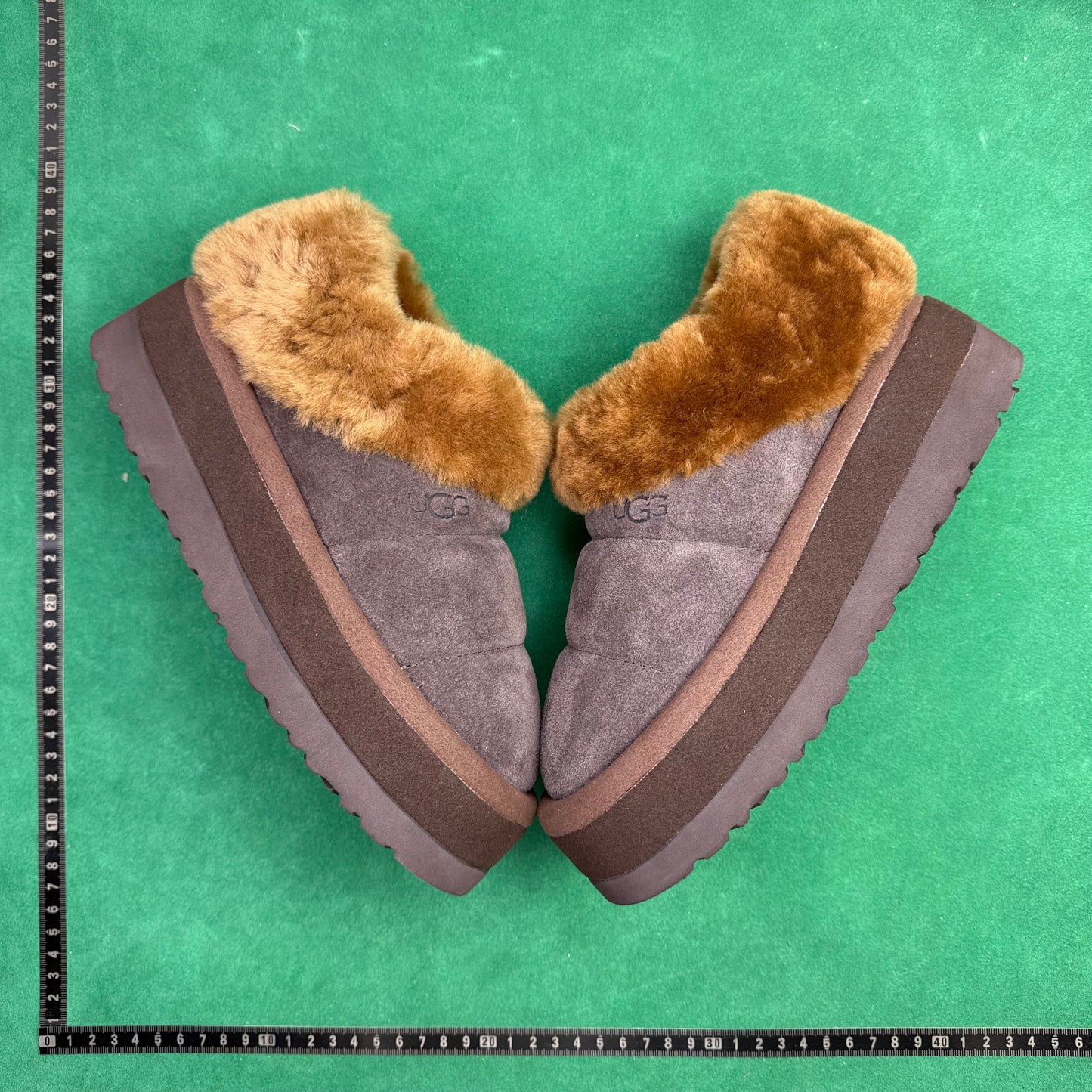 TT UGG Tazzlita