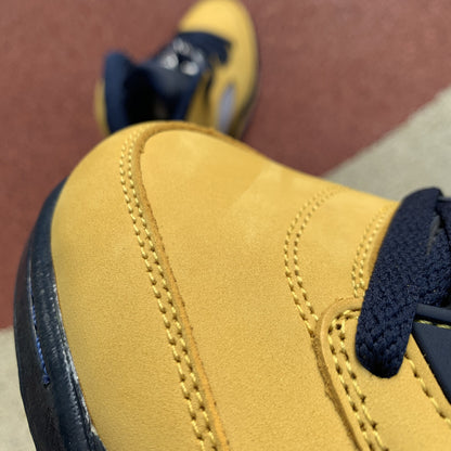 AJ 5 Retro Michigan