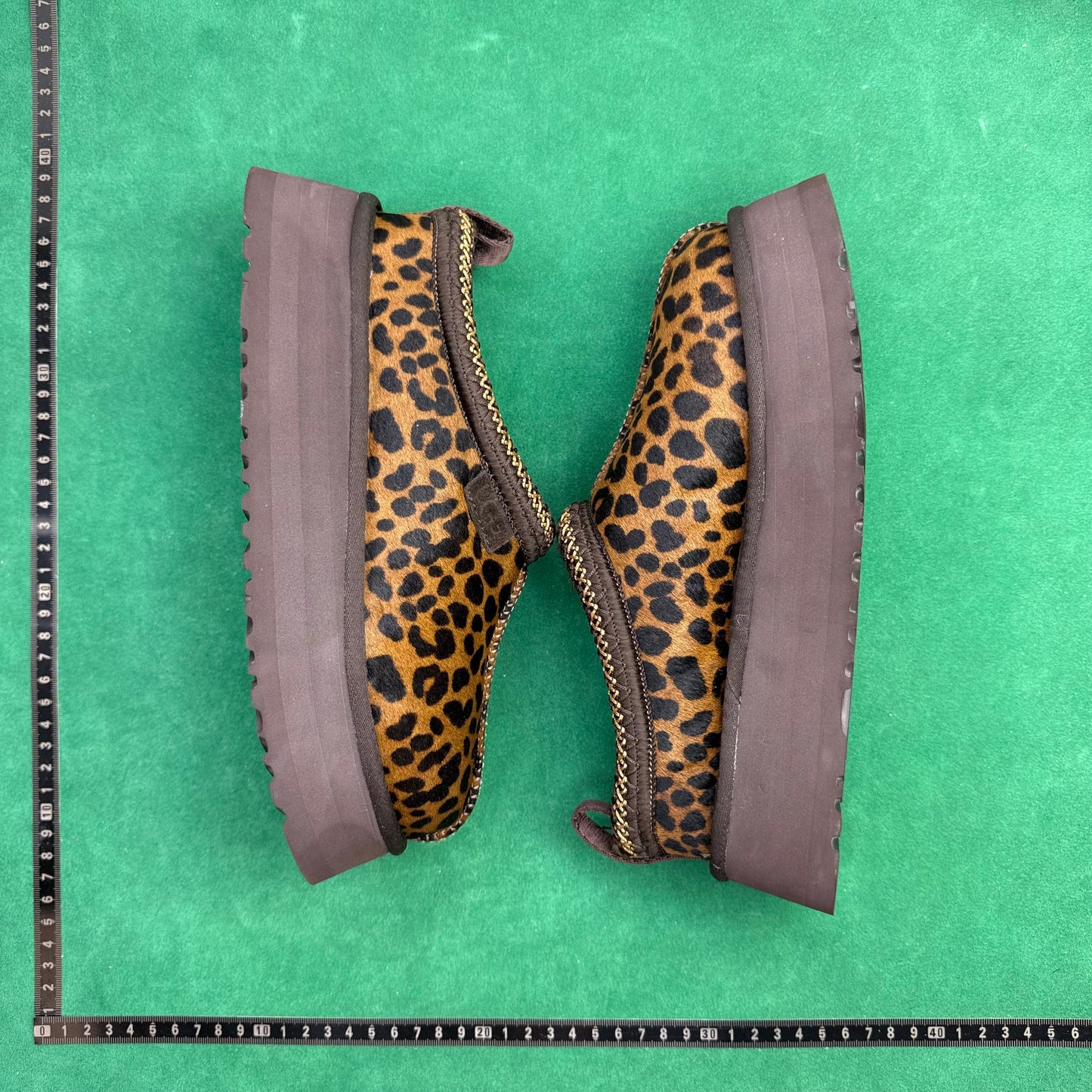 UGG Tazz Caspian