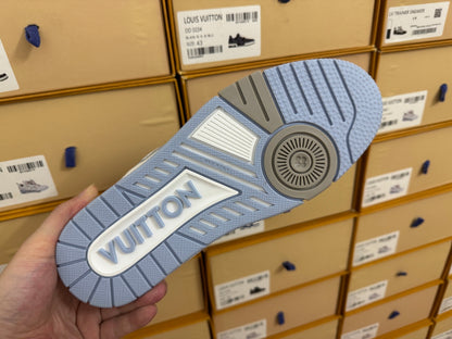 Trainer Blue and White