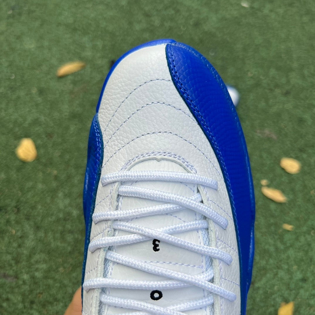 12 BlueBerry