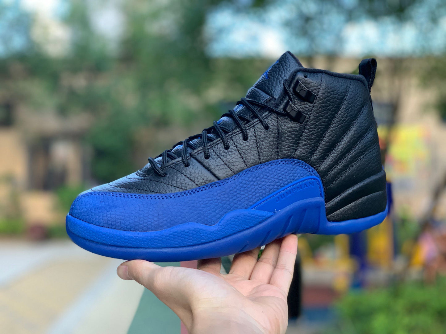 12 Royal