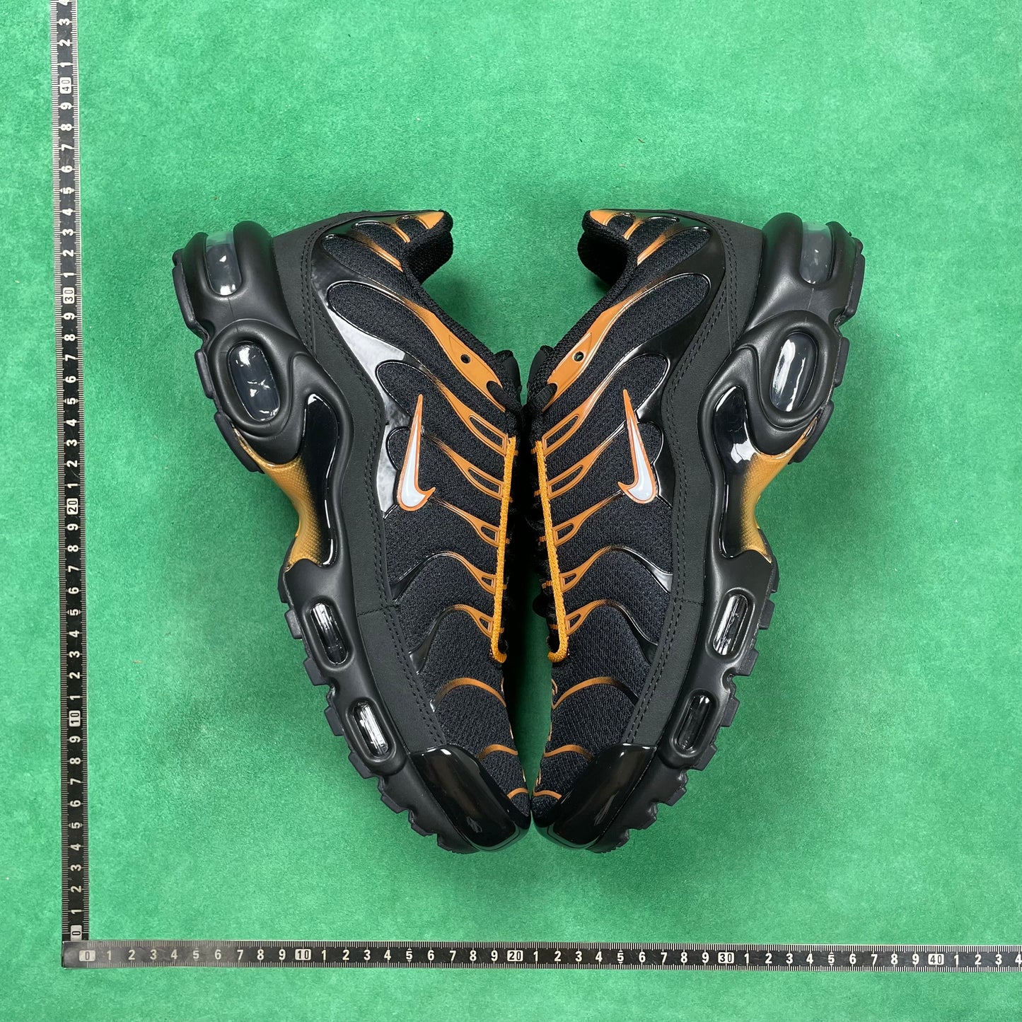 TN Black & University Gold