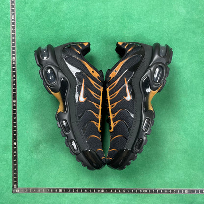 TN Black & University Gold