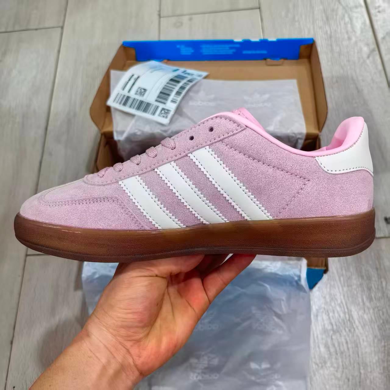 Gazelle Indoor Rosa