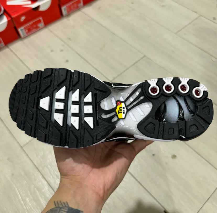 TN Venom