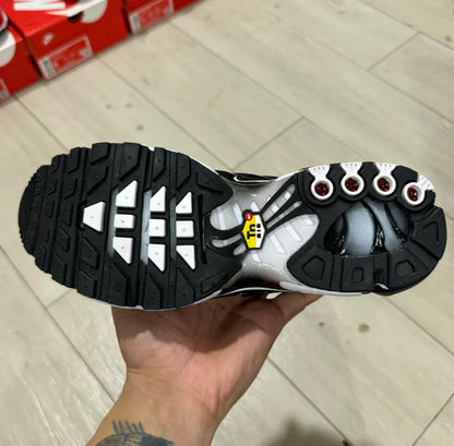 TN Venom