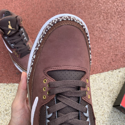 AJ3 Retro reverse swoosh