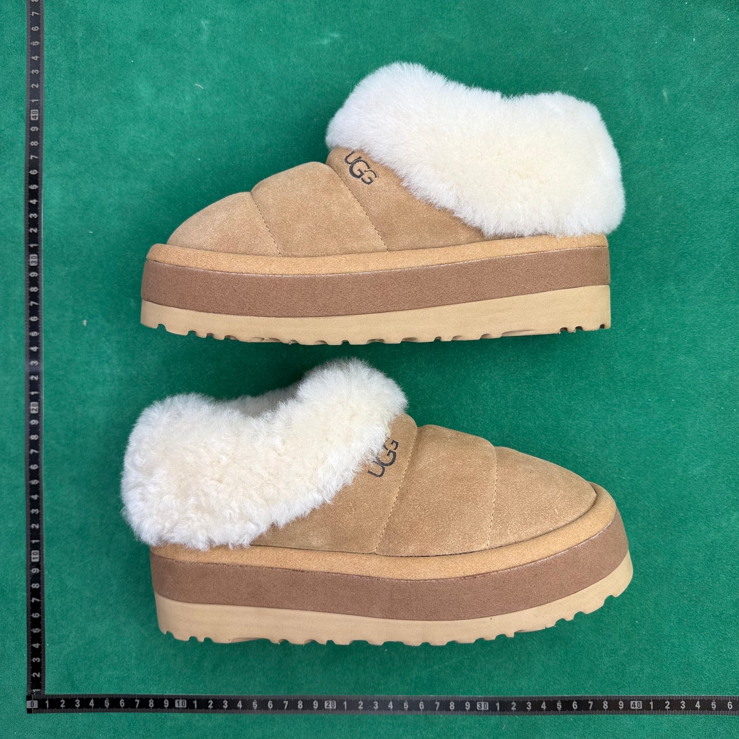 TT UGG Tazzlita