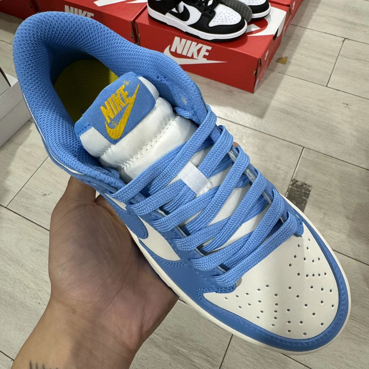 Low Coast Blue