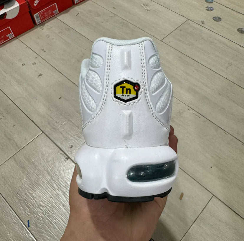 TN White and Green