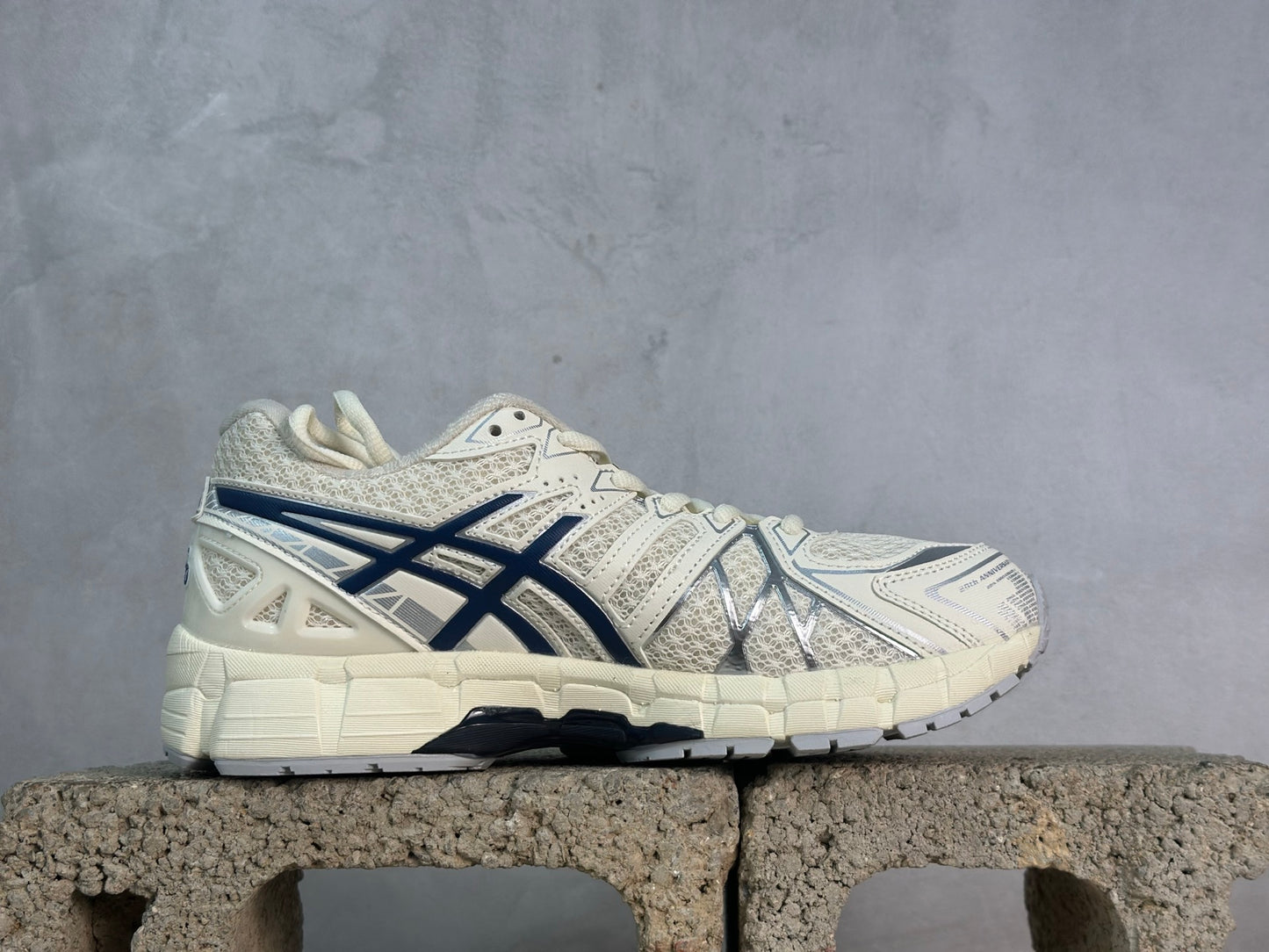 Gel-Kayano 20 White/Blue