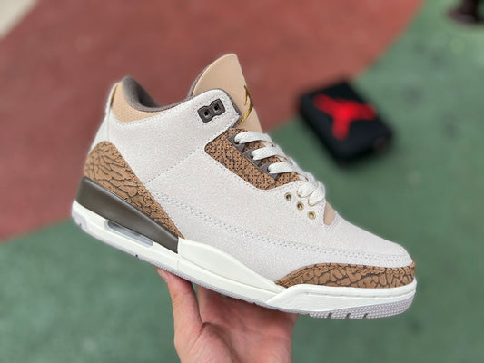 AJ3 Palomino