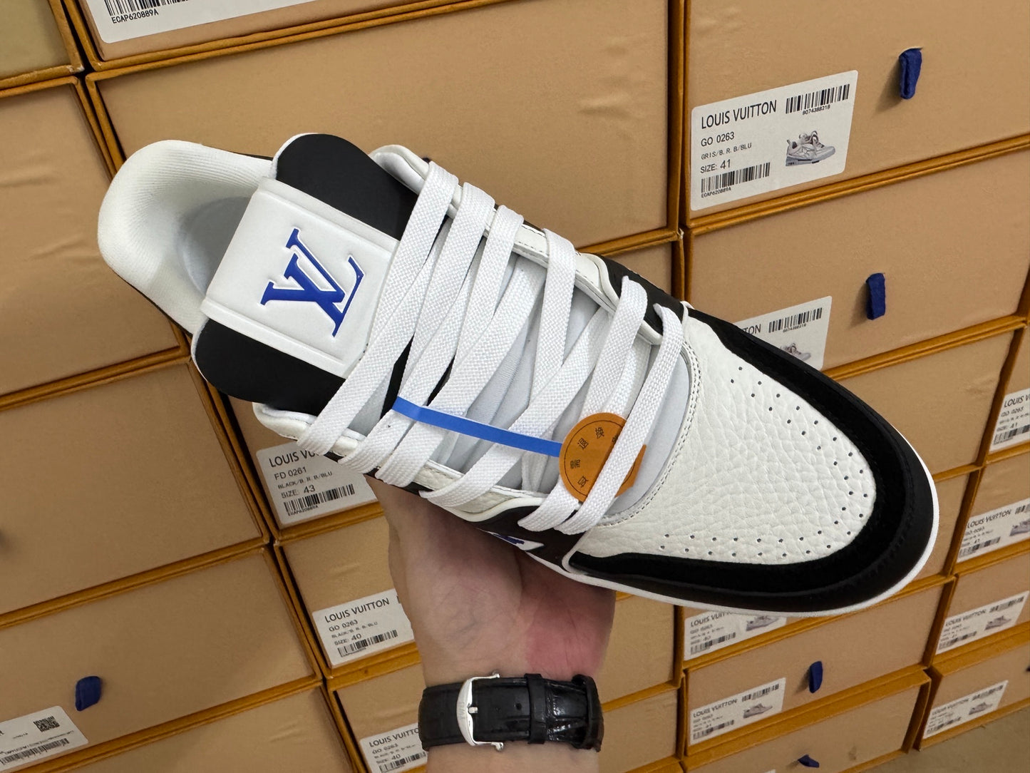Trainer White and Blue