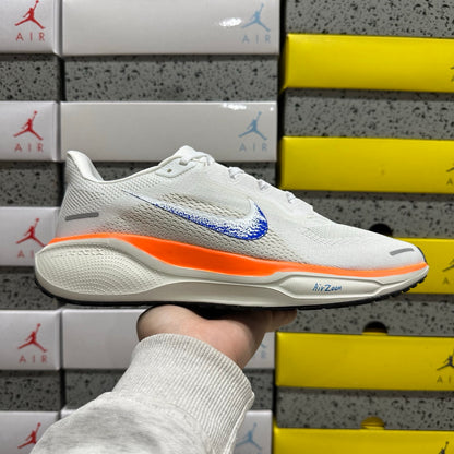 Air Zoom Pegasus 41 Blueprint
