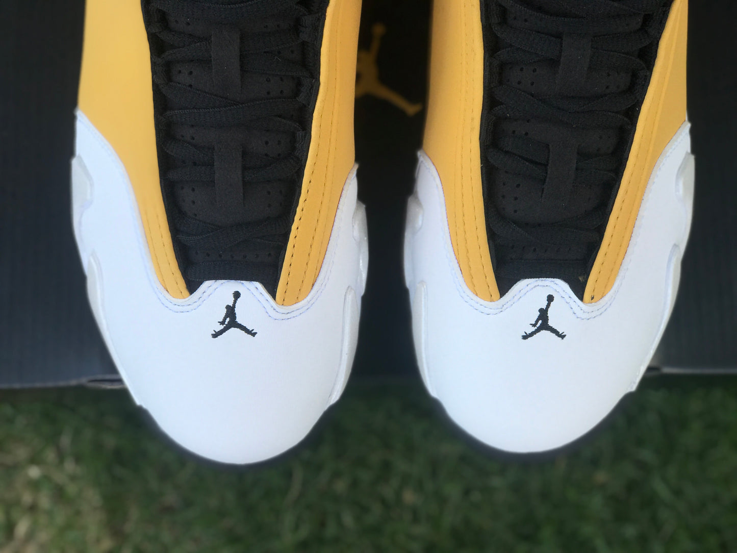 AJ14 Ginger
