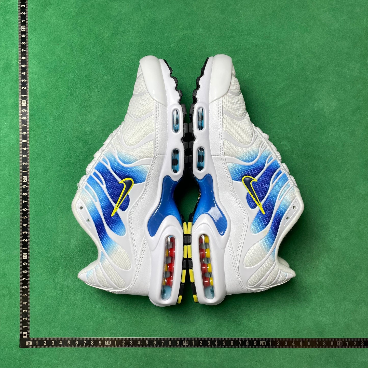 TN White University Blue Gold
