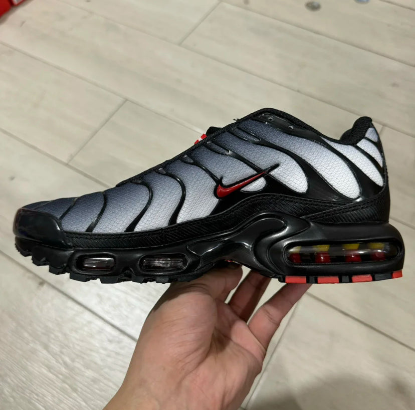 TN Dracula