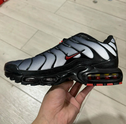 TN Dracula