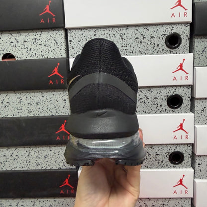 Pegasus Premium Black