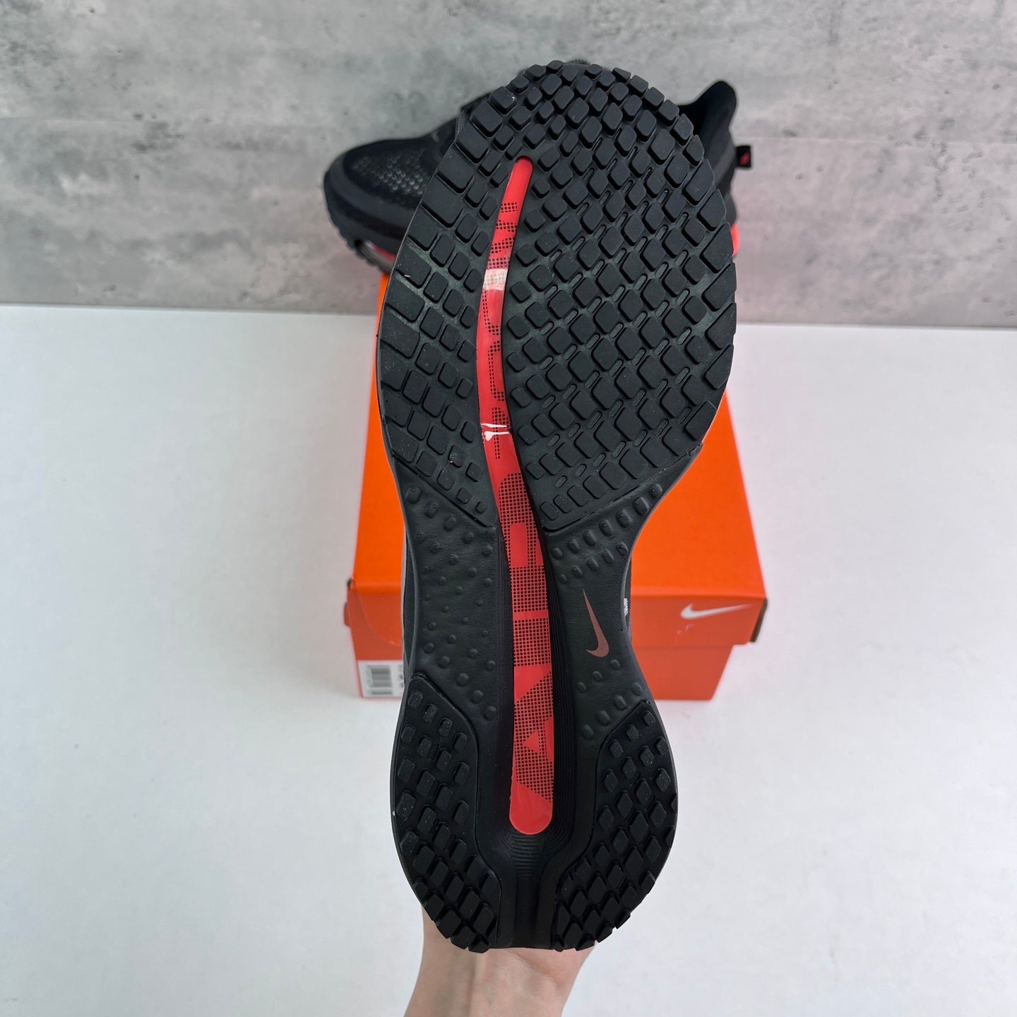 Pegasus Premium Black/Red