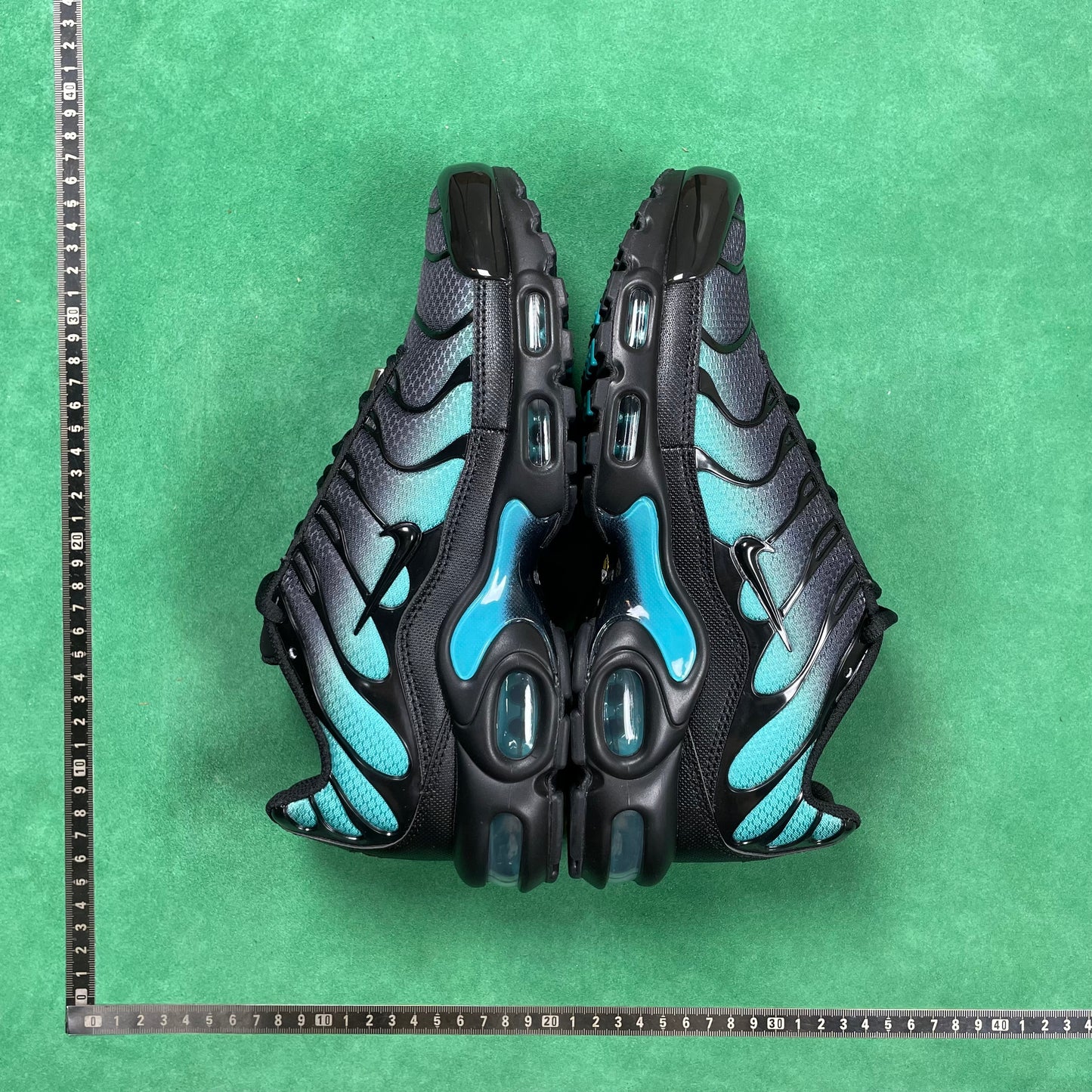 TN Black Dusty Cactus