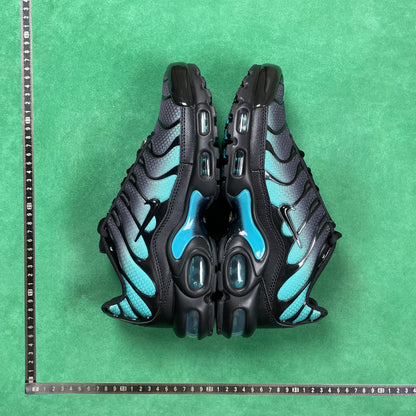 TN Black Dusty Cactus