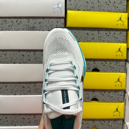 Air Zoom Pegasus 41 White Dusty Cactus