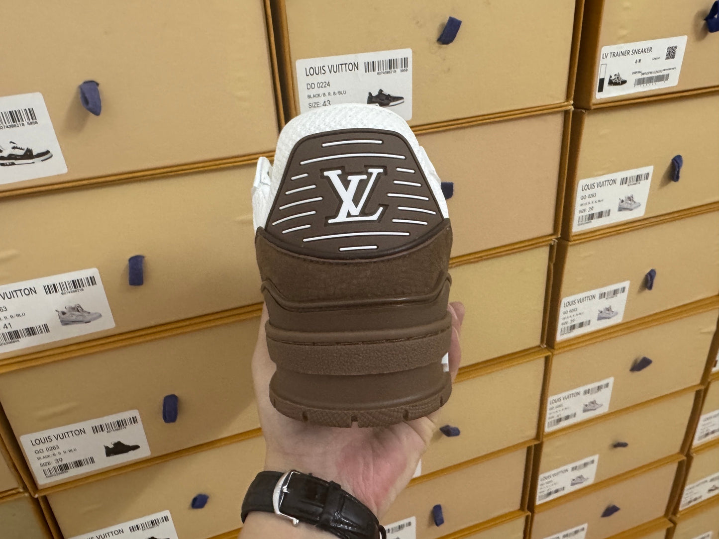 Trainer Brown and White