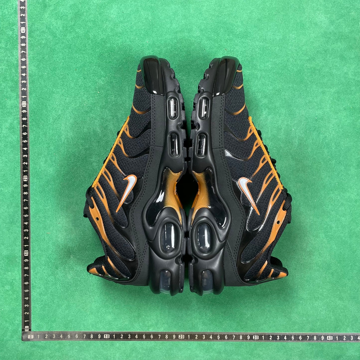 TN Black & University Gold