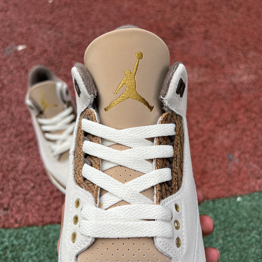 AJ3 Palomino