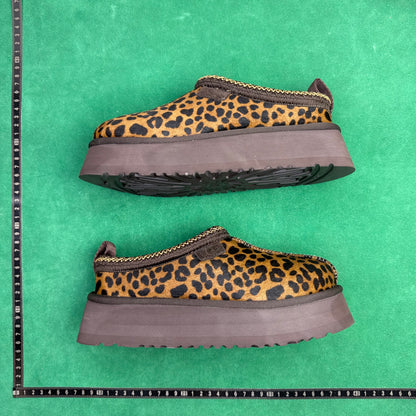 UGG Tazz Caspian